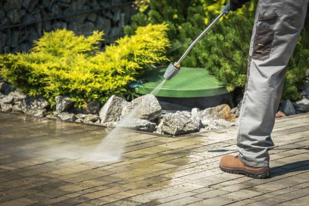 Best Solar Panel Cleaning  in Elroy, WI